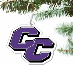 3'' x 4'' Etched Plexiglass Ornament