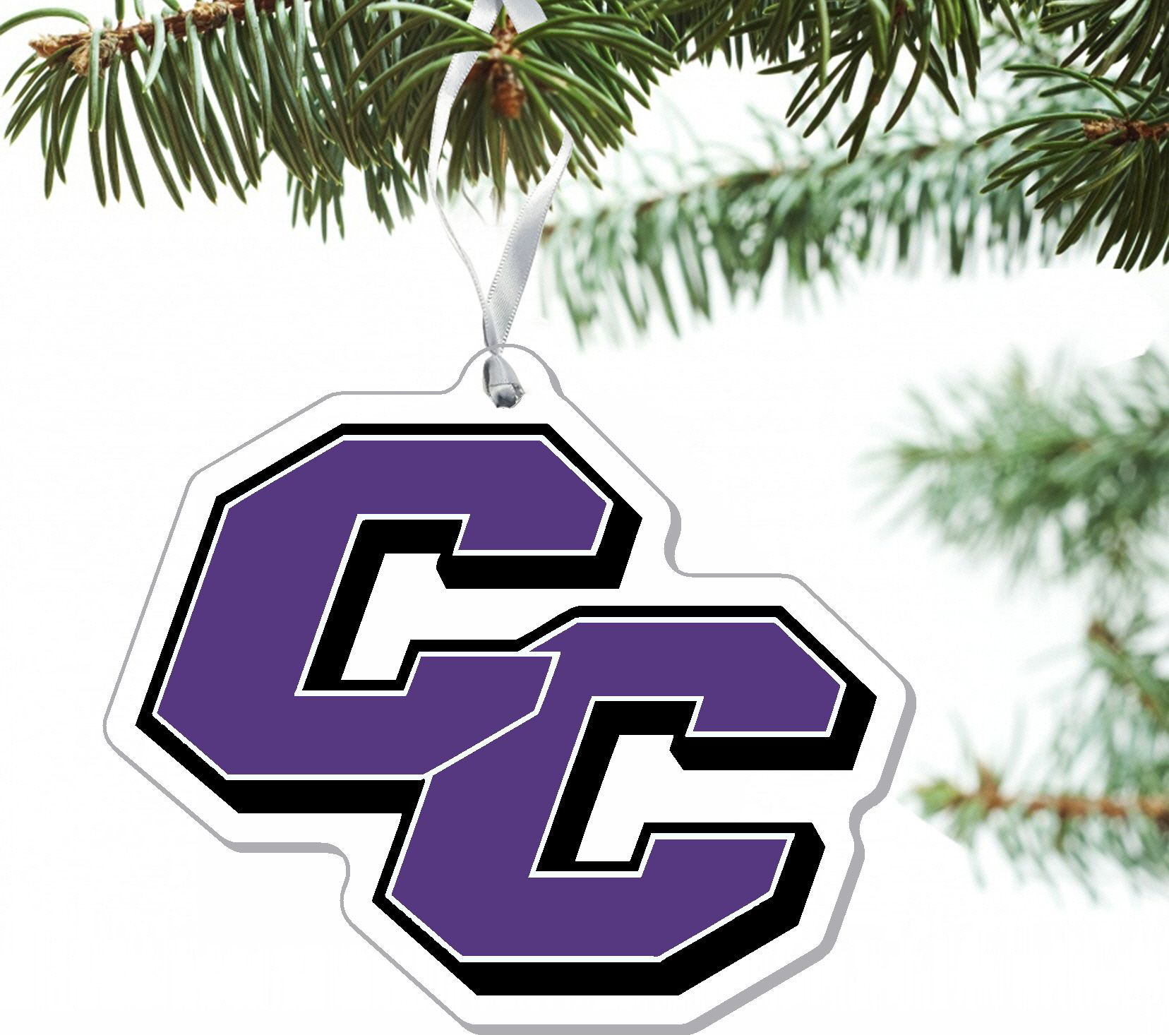 3'' x 4'' Etched Plexiglass Ornament