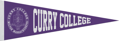 5" x 15" Pennant