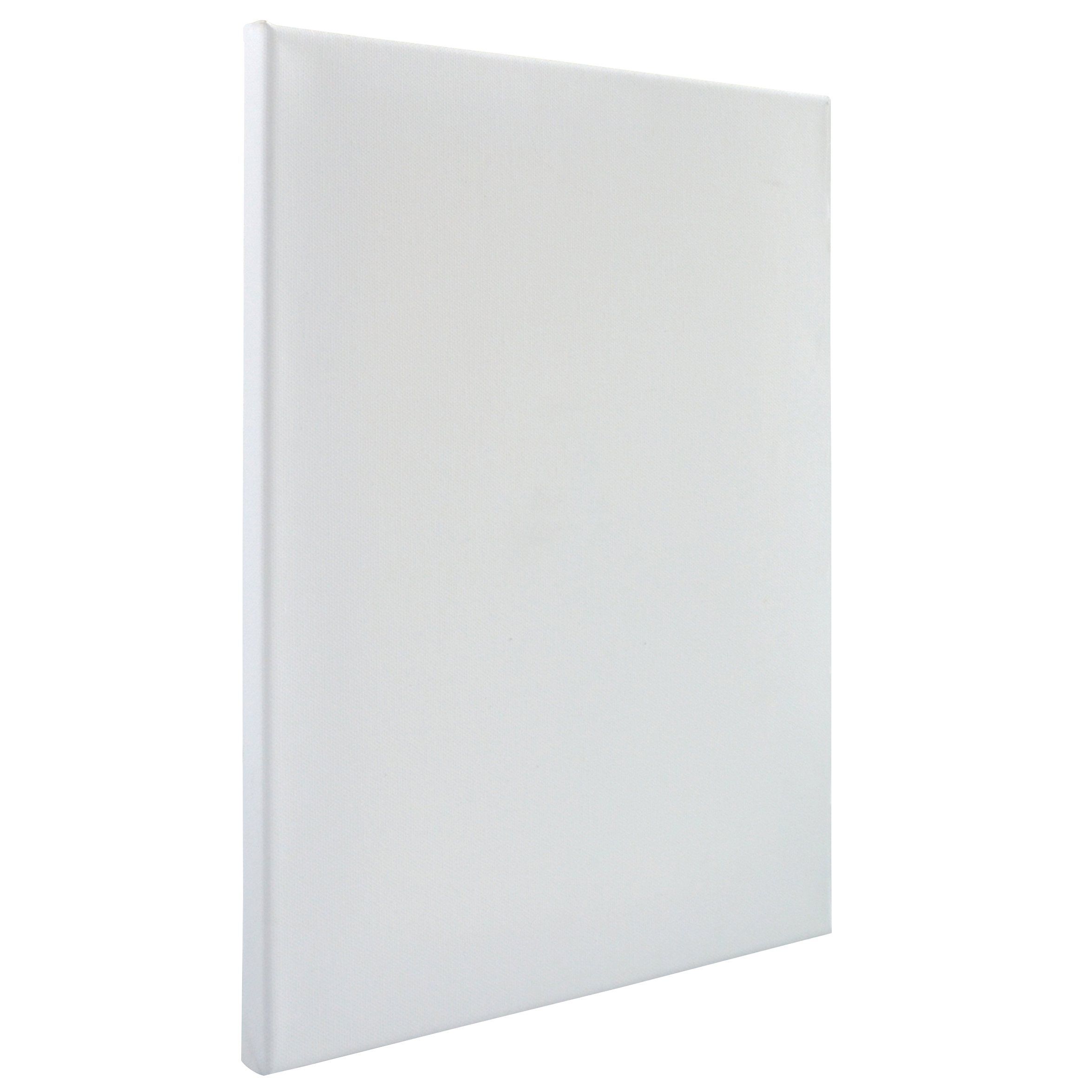 8X10 VISUAL EDGE CANVAS