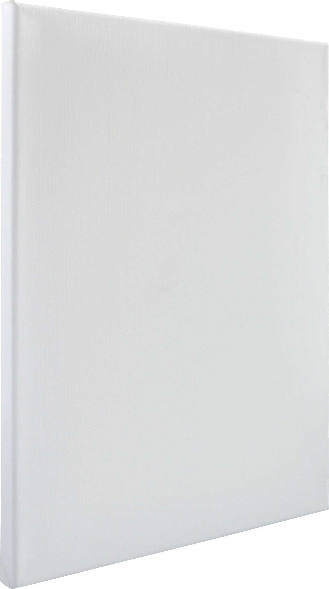 9X12 VISUAL EDGE CANVAS