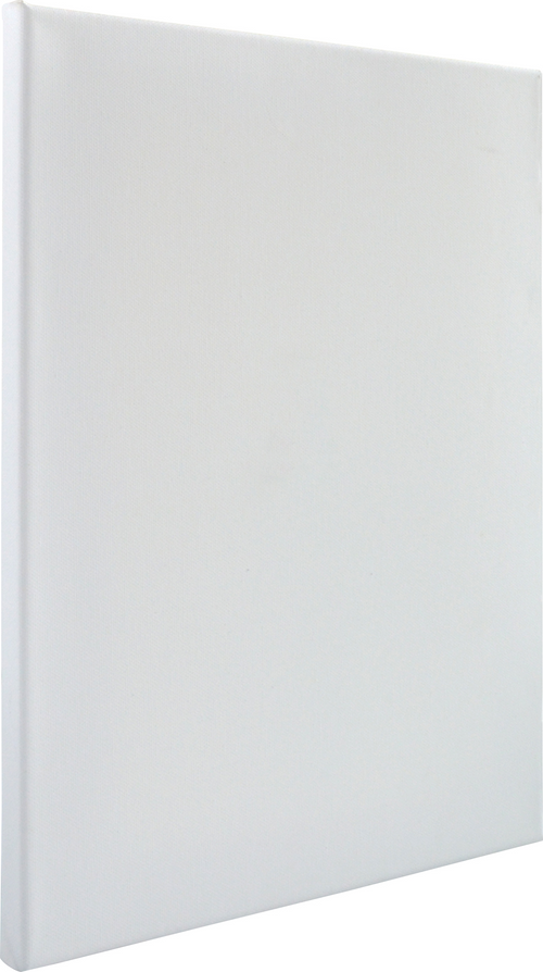 9X12 VISUAL EDGE CANVAS