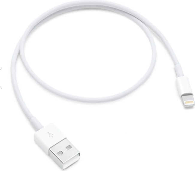 Lightning to USB Cable (0.5 m)