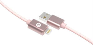 IE 10FT BRAID LIGHT USB RSGD