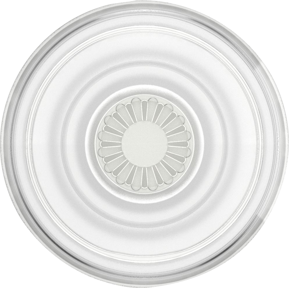 POPSOCKET V2 CLR