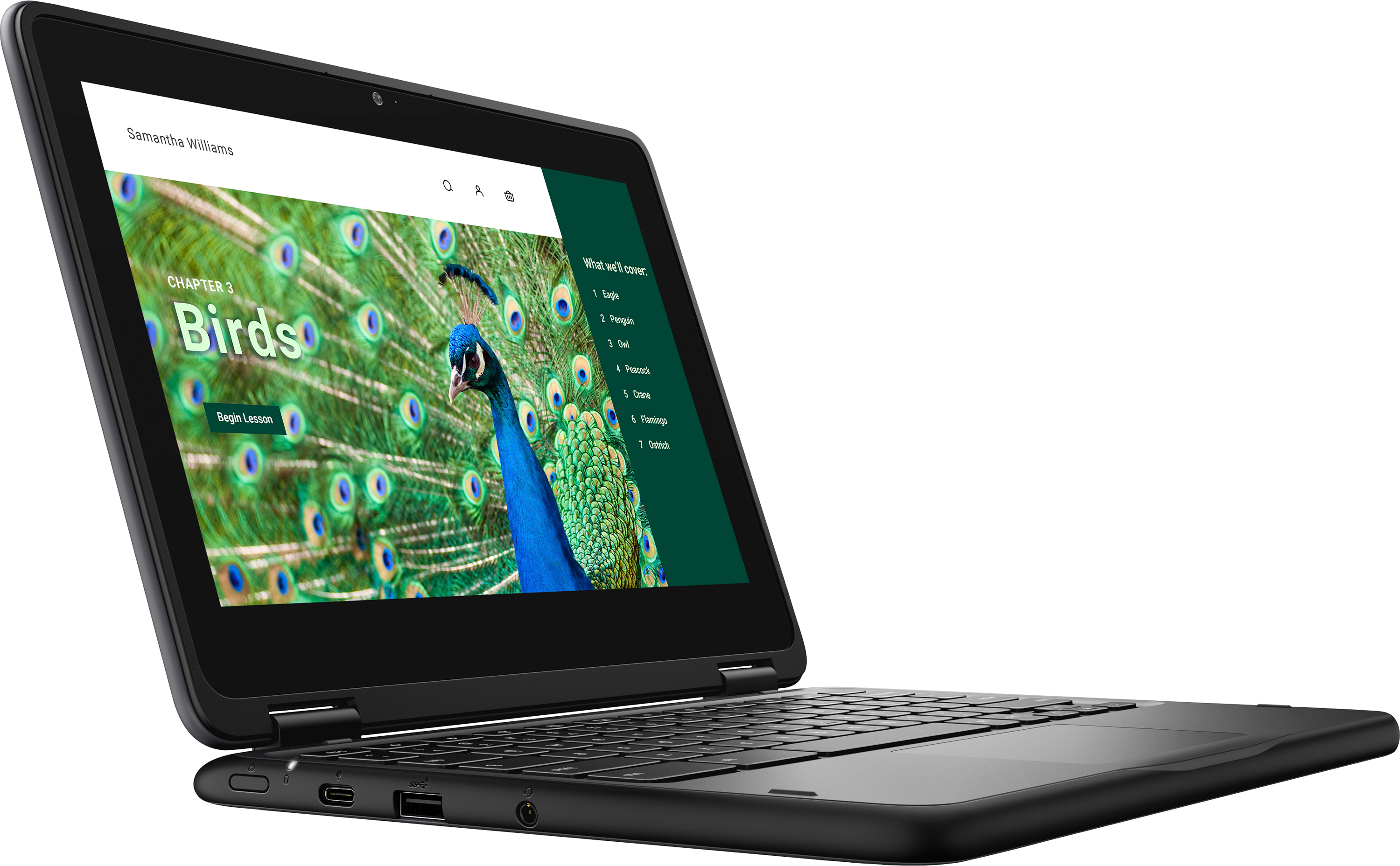 DELL CHRMBK 3120 T N100/4/64GB