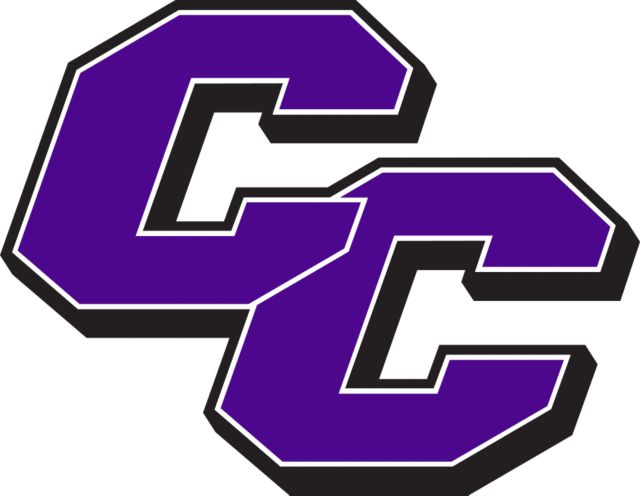 Curry College Large Decal Curry College Primary Athletic Mark - ONLINE ONLY