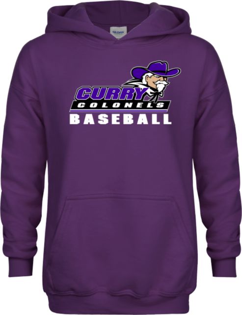 Curry College Youth Fleece Hoodie Baseball - ONLINE ONLY
