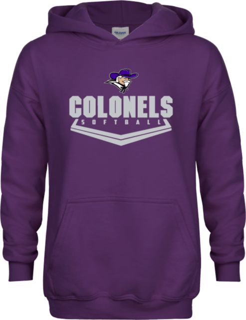 Curry College Youth Fleece Hoodie Softball - ONLINE ONLY