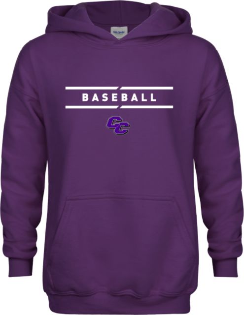 Curry College Youth Fleece Hoodie Curry College Baseball Text with Lines - ONLINE ONLY