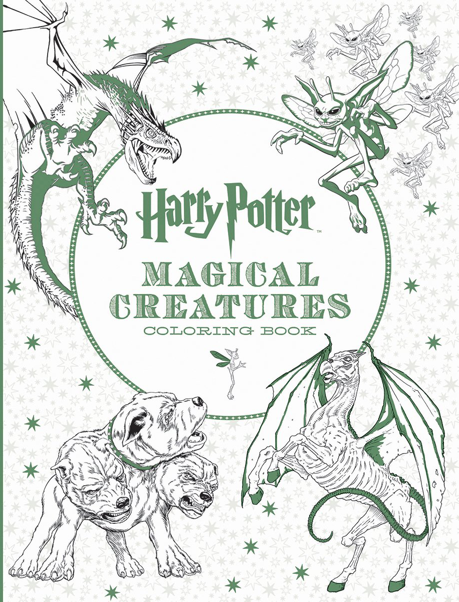 HARRY POTTER COLORING BOOK 2