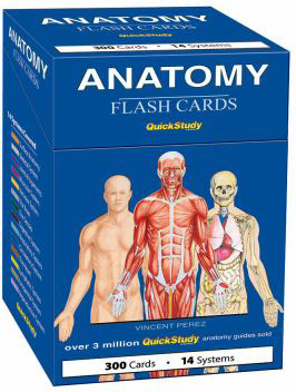 ANATOMY FLASH CARDS
