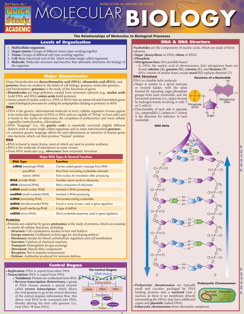 Molecular Biology