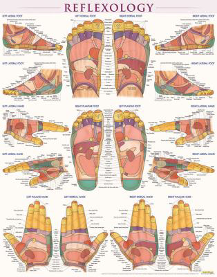 Reflexology