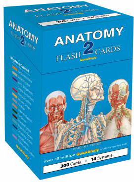 Anatomy 2