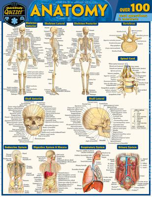 Anatomy Quizzer : A Quickstudy Laminated Reference Guide (Edition 2)
