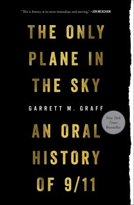 ONLY PLANE IN THE SKY