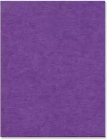 POSTERBOARD PURPLE