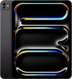 IPAD PRO 13 M5 WF CL 1TB SBLK